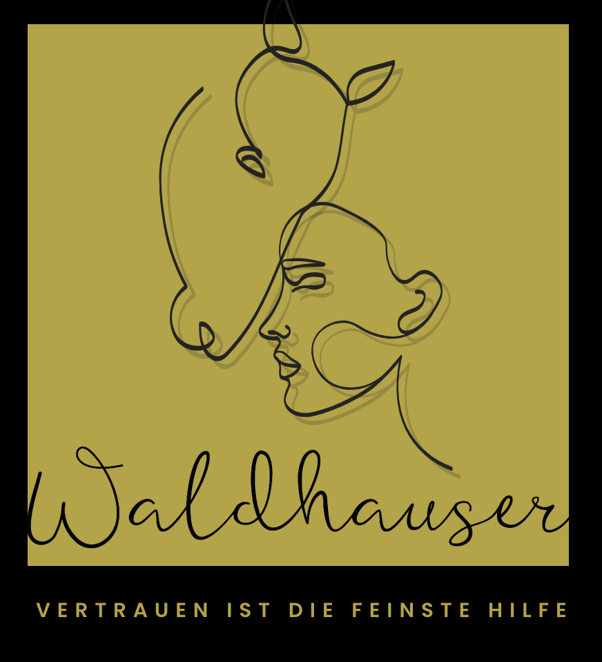 Bildschirmfoto 2026-02-12 um 13.27.59